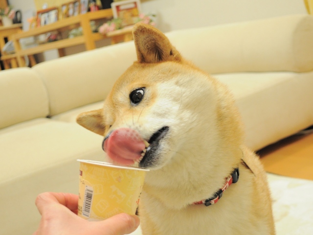 北国からのお届け物_a0126590_2354755.jpg