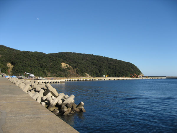 a0040593_95136.jpg