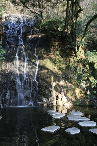 旅行記 箱根 2010年1月 その5 (箱根湯本 天成園2 最終章)_f0059796_202582.jpg