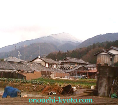 最近の営業部長・・・_f0184004_22542783.jpg