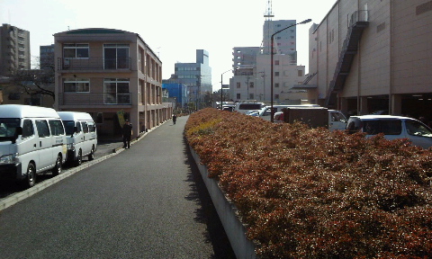 埋もれた轍 - 下河原線跡_a0033505_1393982.jpg