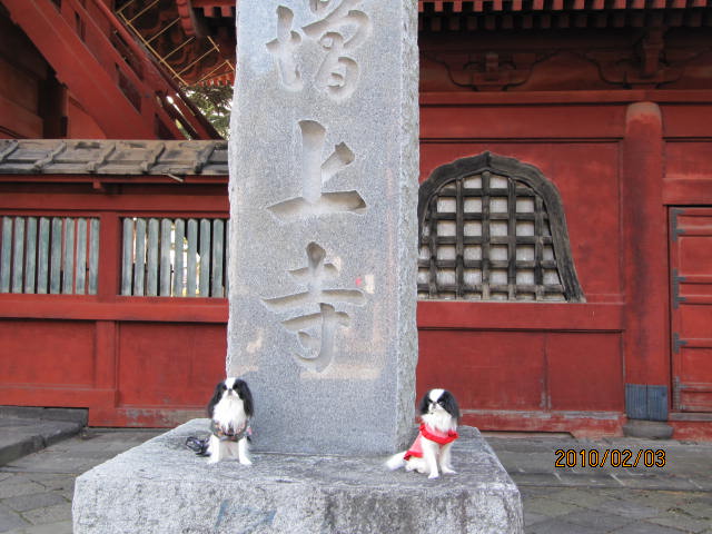 c0200916_2350020.jpg