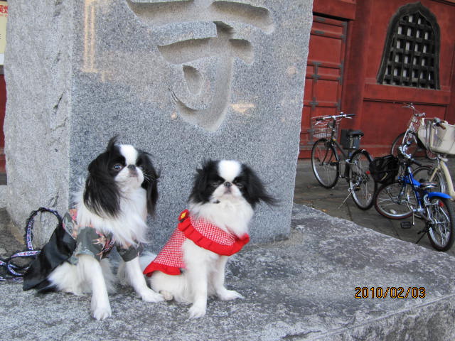 c0200916_23514913.jpg