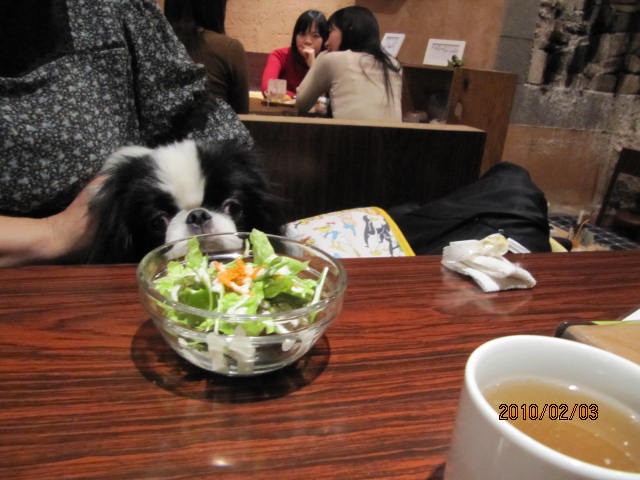 c0200916_23585979.jpg