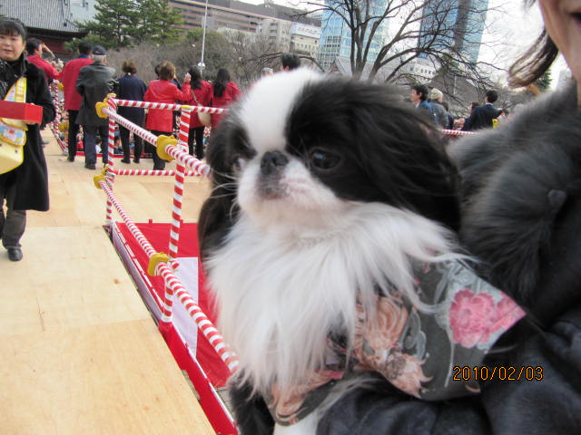 c0200916_2395845.jpg