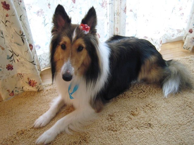 e0190220_17331329.jpg