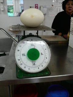 f0160026_8204172.jpg