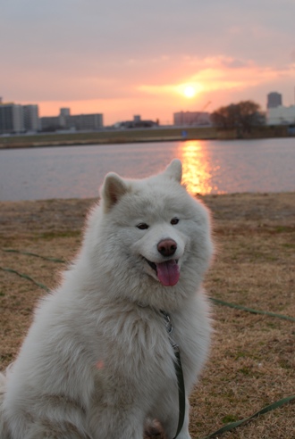 シャンプー前_c0099133_5421126.jpg