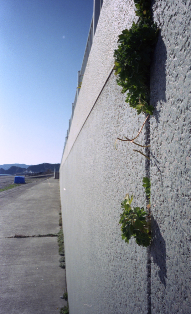 e0006135_20141795.jpg