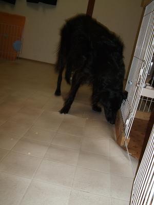 f0192246_16441547.jpg