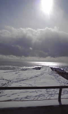 c0179647_13401521.jpg