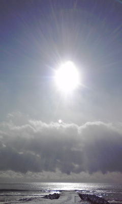 c0179647_13401573.jpg