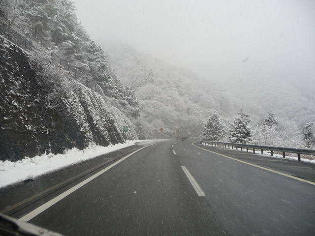 c0221349_11353359.jpg