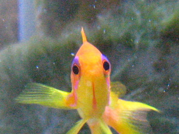 f0198950_2239376.jpg