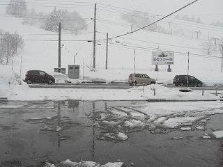 今年一番の寒さ_a0084753_8581782.jpg
