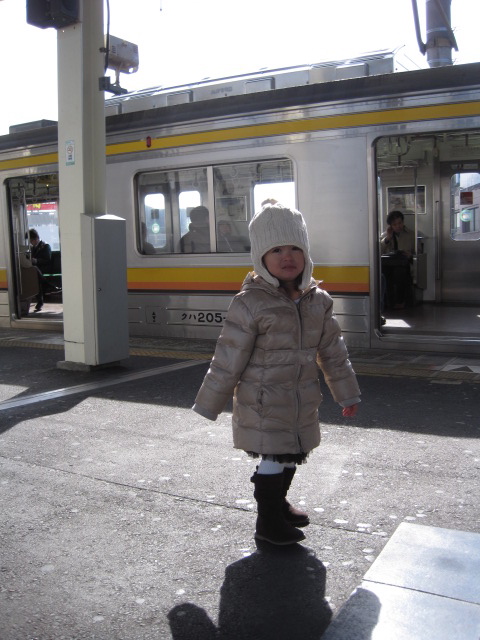 ぐれちゃんのお母さんになりました ぐれちゃんのお母さんになりました