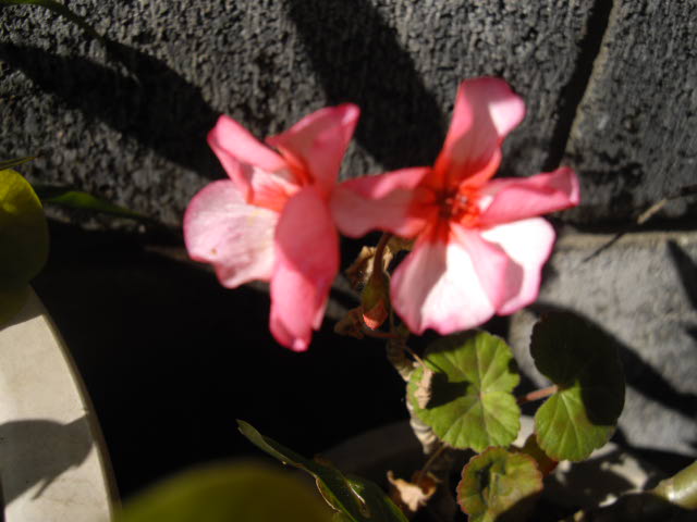 d0116059_12181469.jpg
