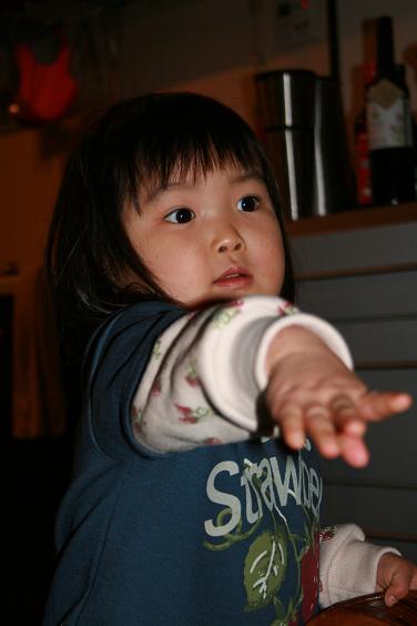e0045565_8553792.jpg