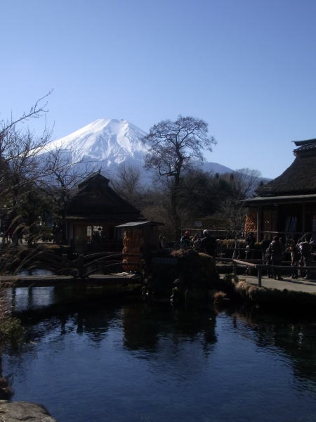 吉田うどんと富士山_e0153367_1733472.jpg