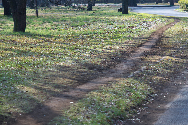 小金井公園・梅園にて 1/ 2　2010年1月31日 _d0123571_2233130.jpg