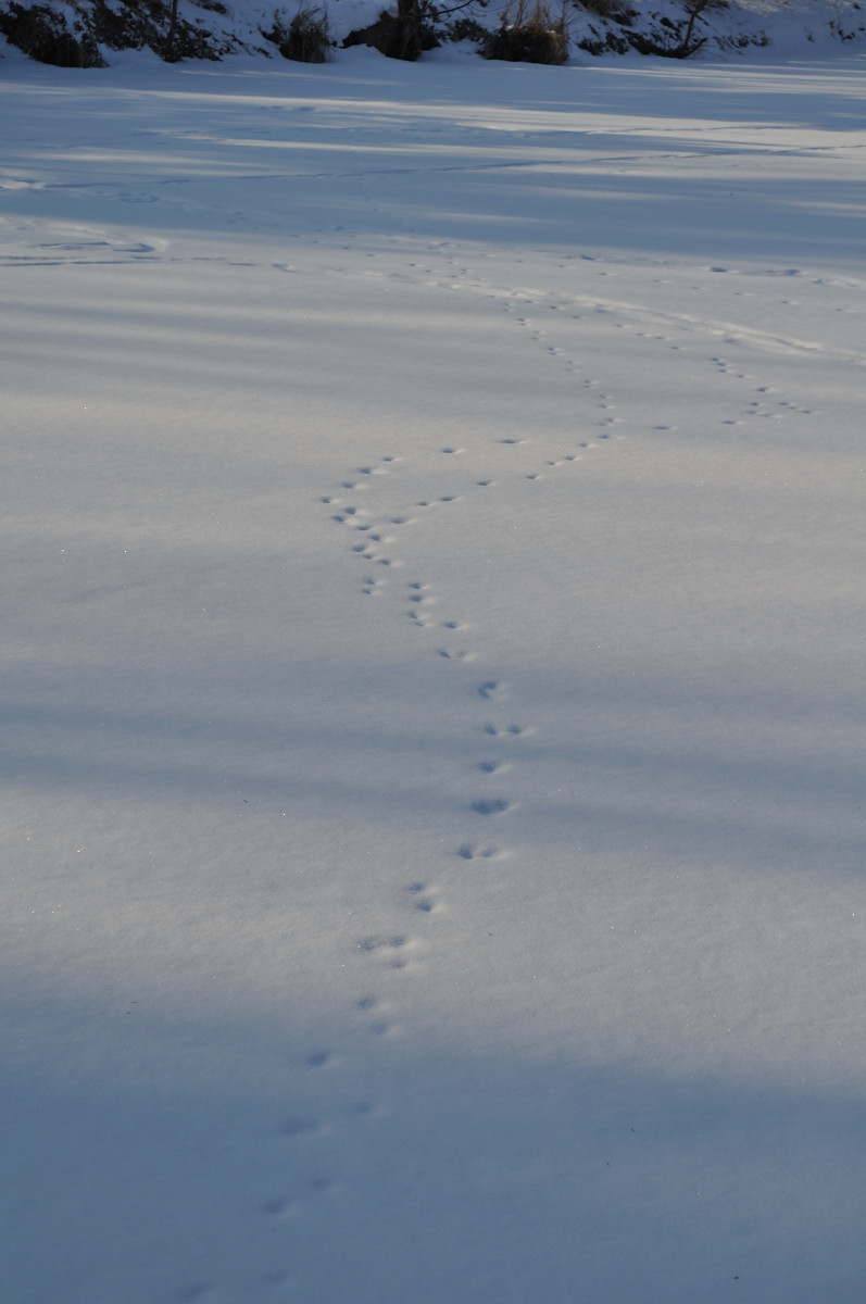 e0028272_11364593.jpg