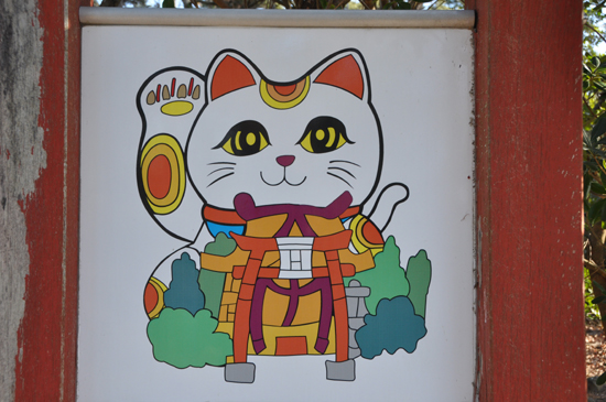 猫神社のある田代島の猫写真_e0171573_0212122.jpg