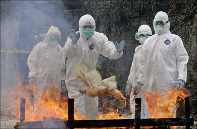 生物兵器戦争の一方法としてのワクチン接種の歴史 by David Rothscum 2_c0139575_20192317.jpg