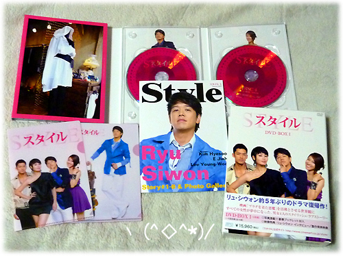 スタイル　ＤＶＤ－ＢＯＸ　Ｉ_d0013677_0512325.jpg