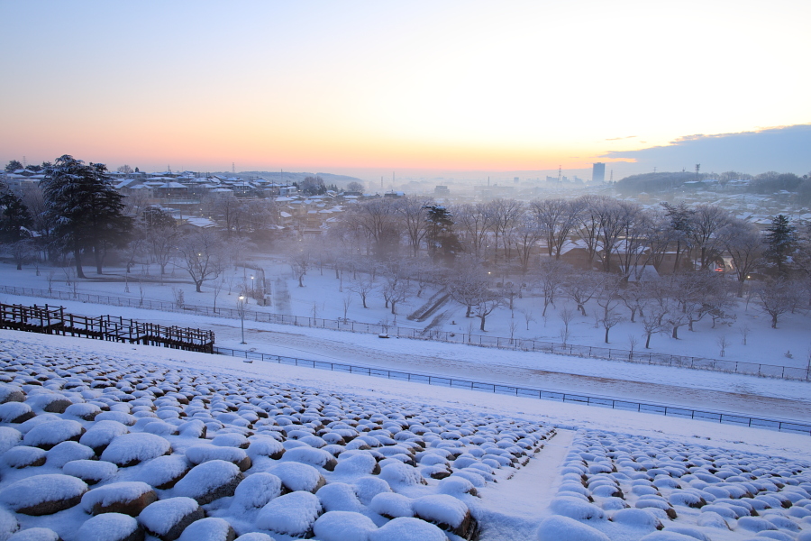 雪の多摩湖堰堤 ②_b0136781_033089.jpg