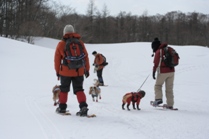 雪の原大好き♪_c0156584_15371494.jpg