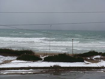 c0229385_21443861.jpg