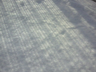 e0175288_174675.jpg
