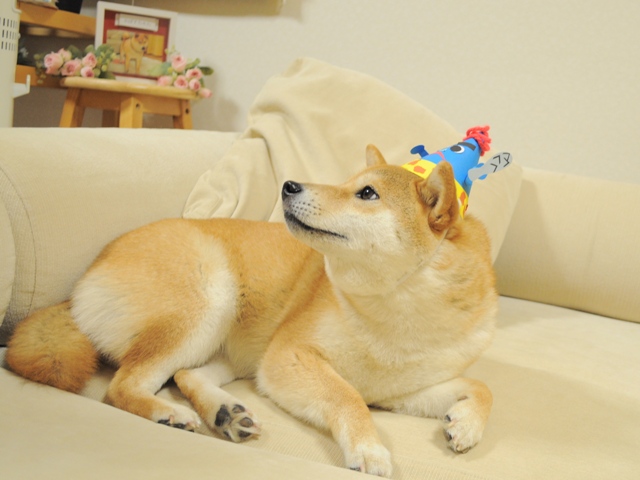鬼は外!_a0126590_4231910.jpg