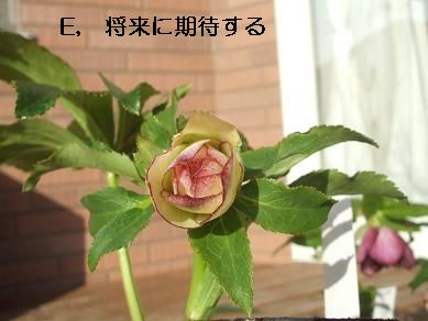f0179203_15382014.jpg