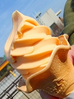 c0228404_654682.jpg
