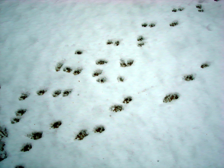 f0080105_9291238.jpg