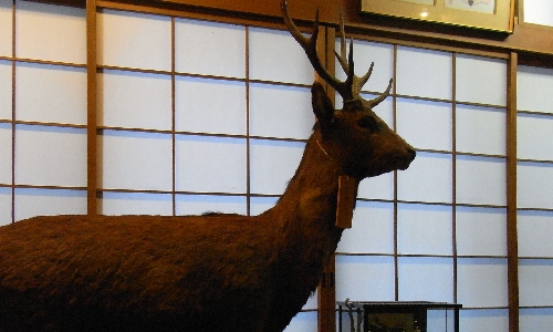 f0006510_20432541.jpg