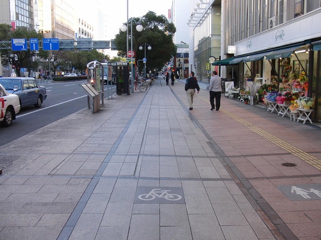 自転車専用レーンがずいぶん前からある？街・宮崎市_f0141310_073256.jpg