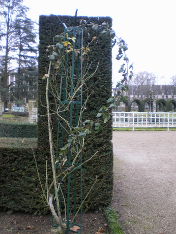 c0124619_82729.jpg