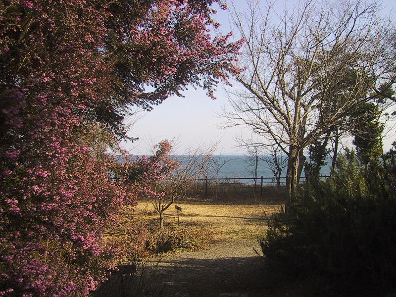 c0097620_17565110.jpg