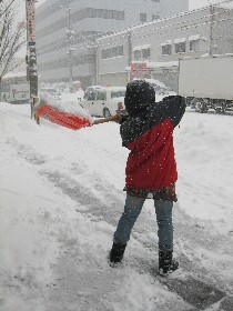 大雪、襲来・・・_e0062921_1618917.jpg