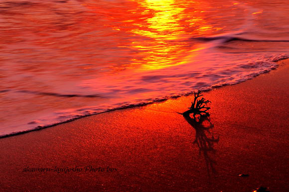 Red beach_c0120836_293975.jpg