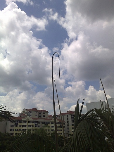 e0195952_148404.jpg