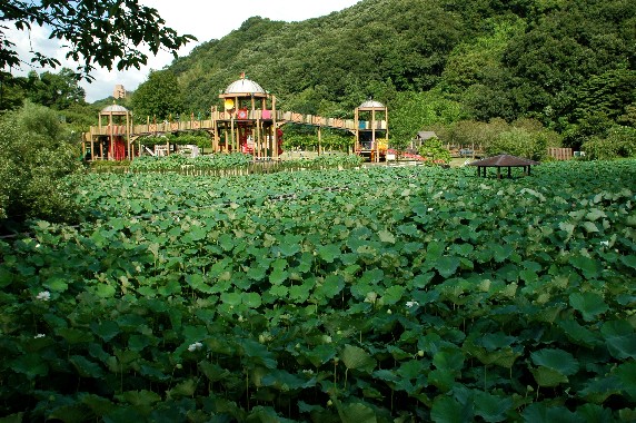 和歌山県植物公園緑花センター 紀の国 城下町便りと観光地めぐり