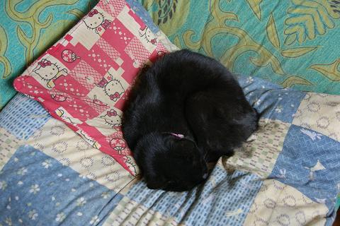 c0214455_12143718.jpg