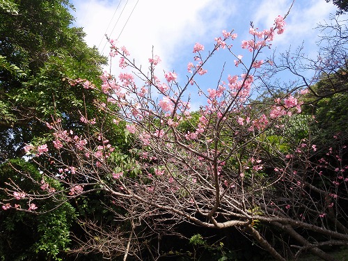 c0180460_6444863.jpg