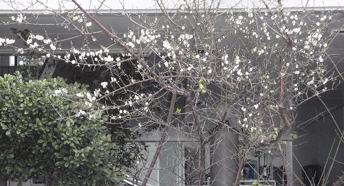 c0180460_6452348.jpg