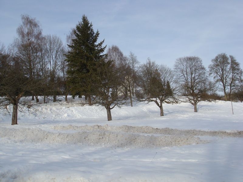 d0116376_821192.jpg