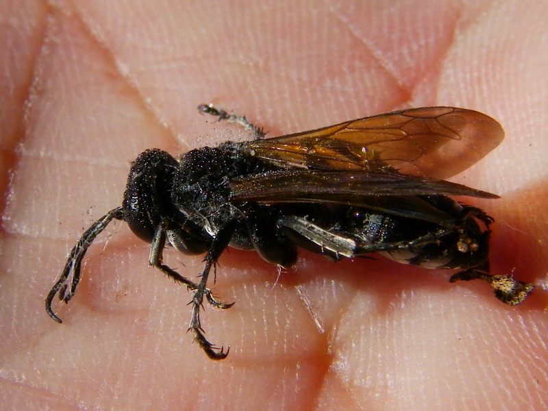 f0204094_9535537.jpg