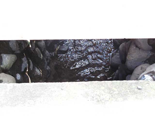 c0163001_05618.jpg